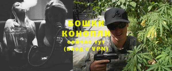 гашик Тавда