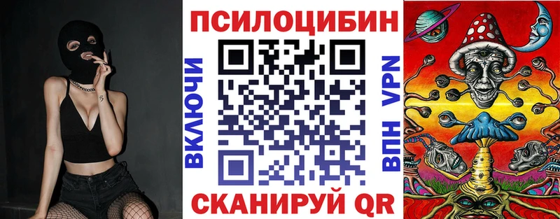 Псилоцибиновые грибы мухоморы  наркота  Куровское 