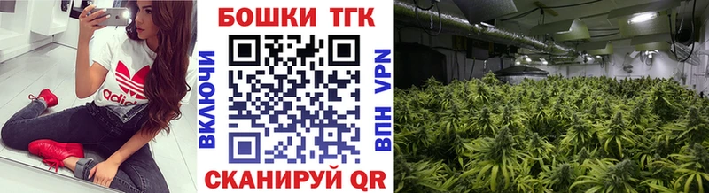 Бошки Шишки AK-47  Куровское 